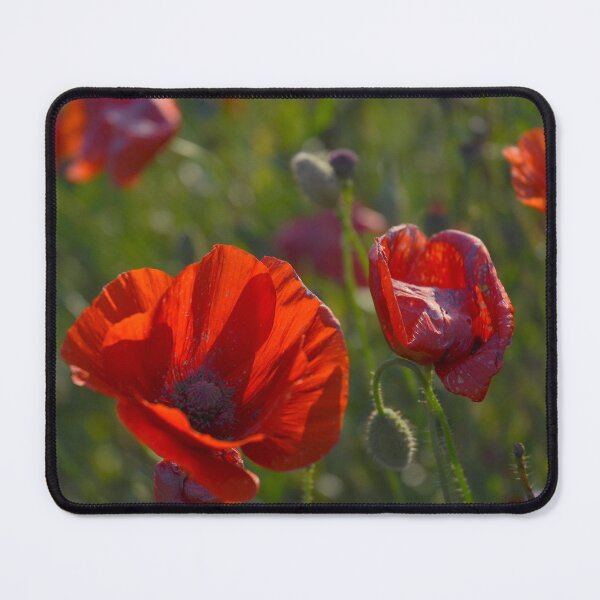 Item preview, Sunshine through Poppy Petals. designed and sold by Billlee.