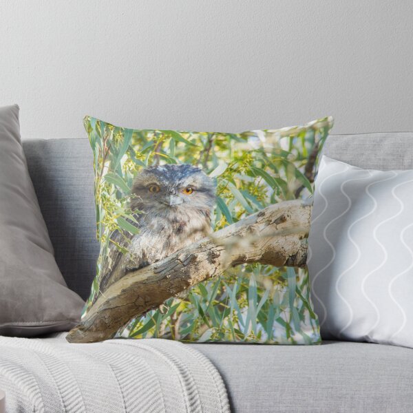 Item preview, Tawny Frogmouth designed and sold by Chris Kean.