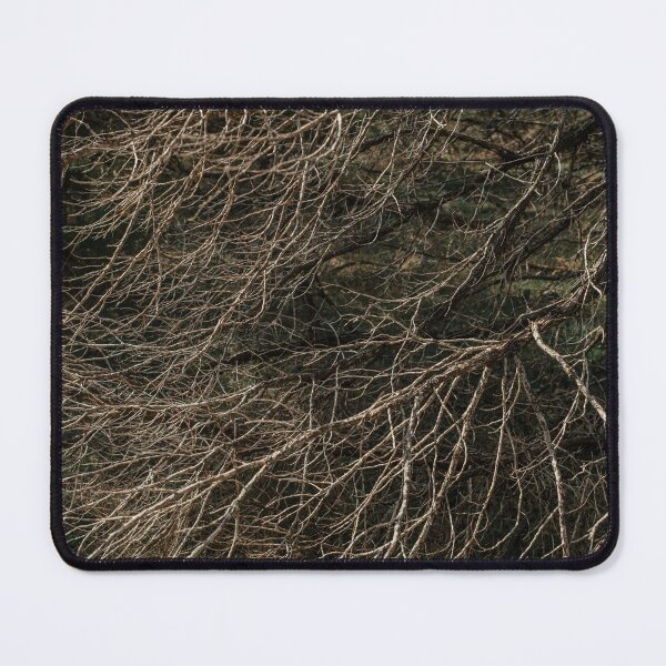 Item preview, State Park Tree Branches Texture Nature Photography designed and sold by Chee Sim.