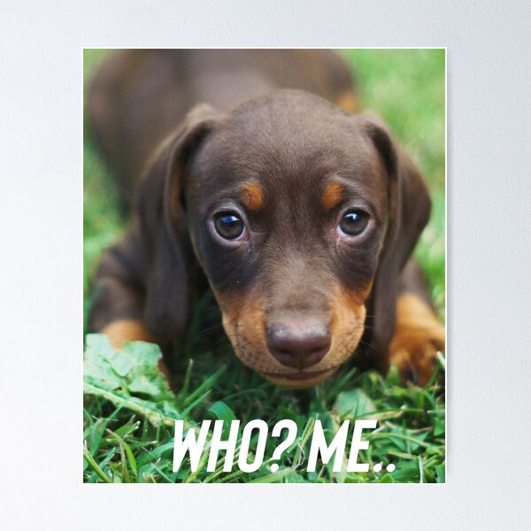 Item preview, Who? Me! designed and sold by Kidzx6.