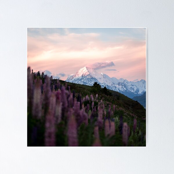 Item preview, Mountain Mt. Cook with Purple Lupin Flowers During Sunset designed and sold by Danny Wanders.