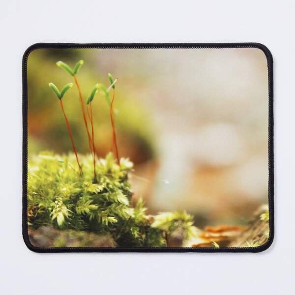 Item preview, In the middle of the forest designed and sold by Dominika Aniola.