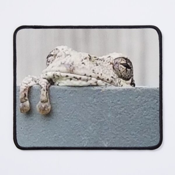 Item preview, Is it spring yet designed and sold by SuzettesStills.