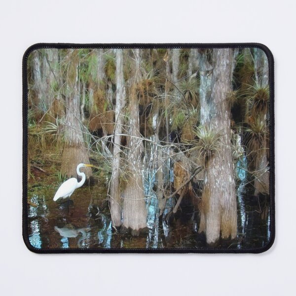 Item preview, A Big Day at Big Cypress National Preserve, Florida designed and sold by Dead-Moroz.