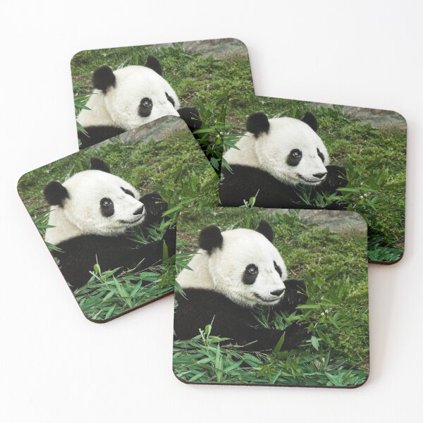 Item preview, Panda Photograph | I Love Pandas | Kung Fu Panda designed and sold by WeAreGrotesque.