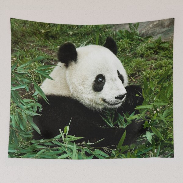Item preview, Panda Photograph | I Love Pandas | Kung Fu Panda designed and sold by WeAreGrotesque.