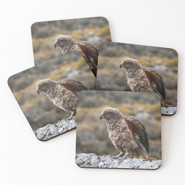 Item preview, Kea Bird Showing its Colorful Wings in the Mountains of New Zealand designed and sold by Danny Wanders.
