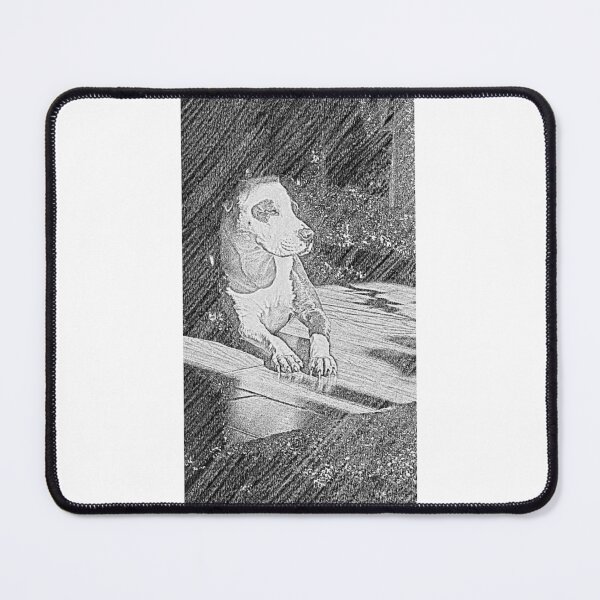 Item preview, Pitty in a sunspot designed and sold by SuzettesStills.