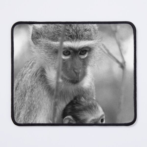 Item preview, Vintage photo of Vervet Monkey designed and sold by JerryFrank.