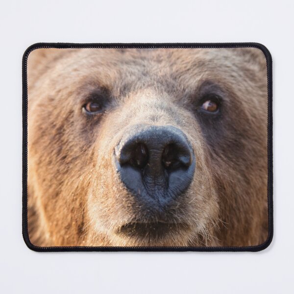 Item preview, Bear Photograph | I Love Bears | Bear Necessities designed and sold by WeAreGrotesque.
