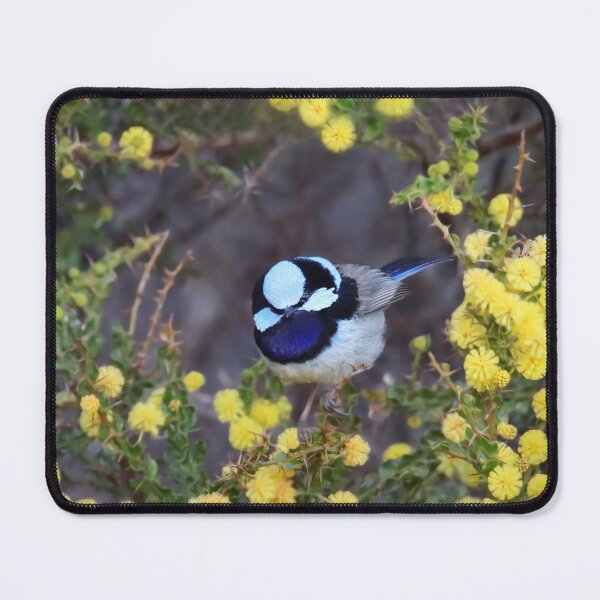 Item preview, Wrens in Springtime designed and sold by Seesee.