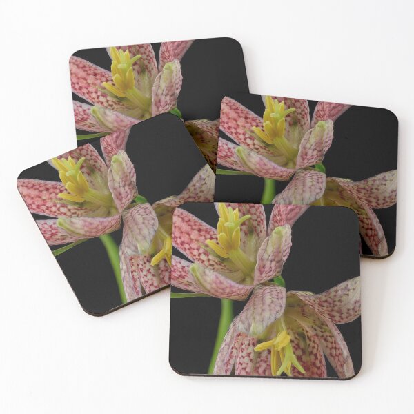 Item preview, Anemone flower designed and sold by Dennis Sands Photography.
