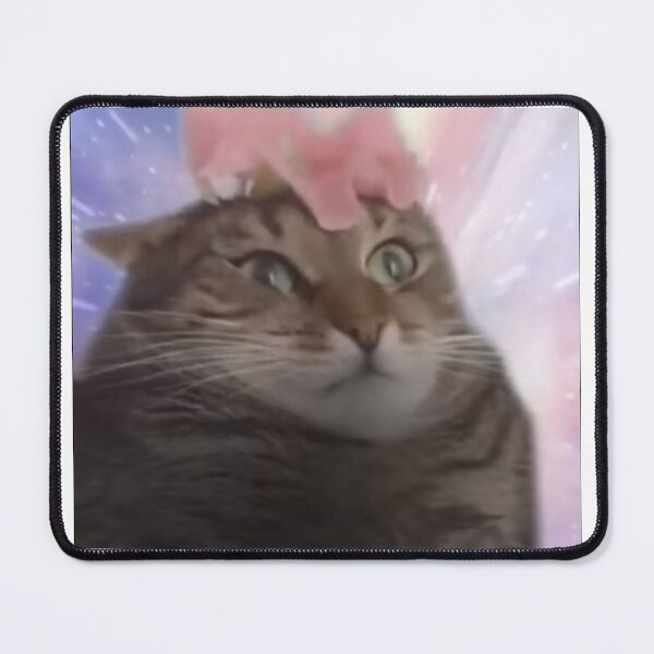 Item preview, Cat Transcendence designed and sold by Meme Economy.