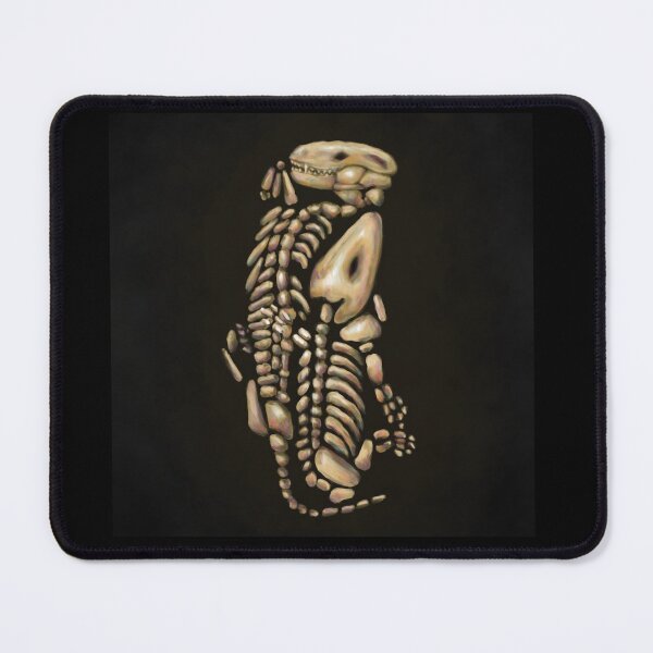 Item preview, Broomistega & Thrinaxodon designed and sold by AdventurePippin.