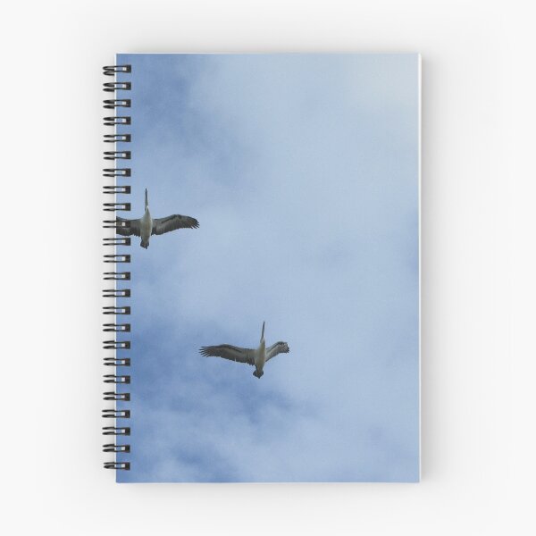 Item preview, Pelicans in Flight designed and sold by lezvee.
