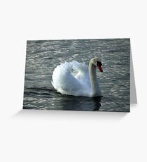 swan on the lake Greeting Card