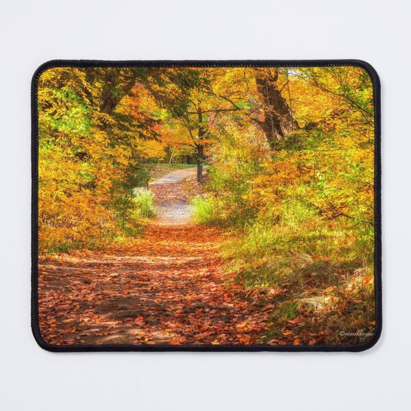 Item preview, Autumn Colours 8 - MacKenzie-King Estate designed and sold by Yannik Hay.