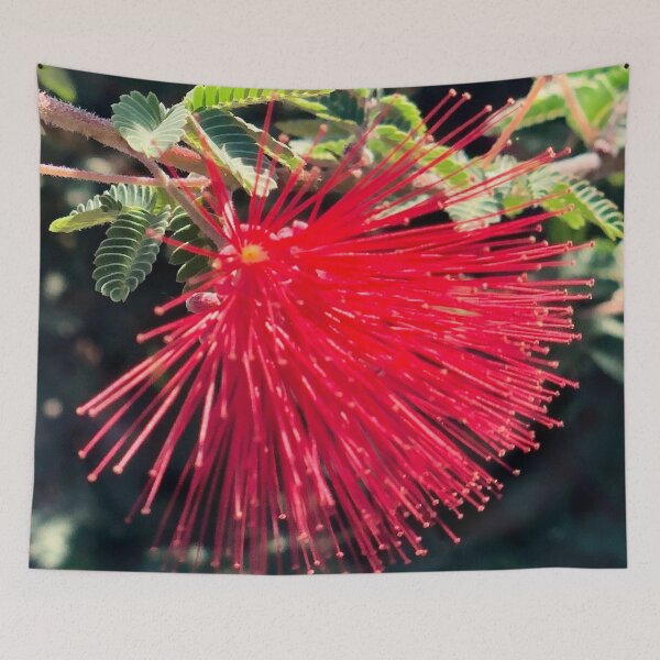 Item preview, Red Fairy Duster Flower designed and sold by SunnyDesignsCo.