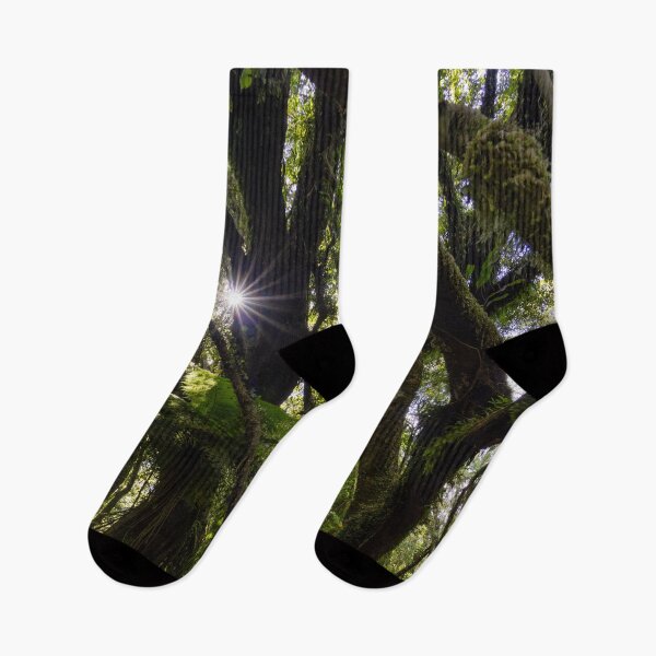 Item preview, Sun Ray in Dense Rain Forest  designed and sold by Danny Wanders.