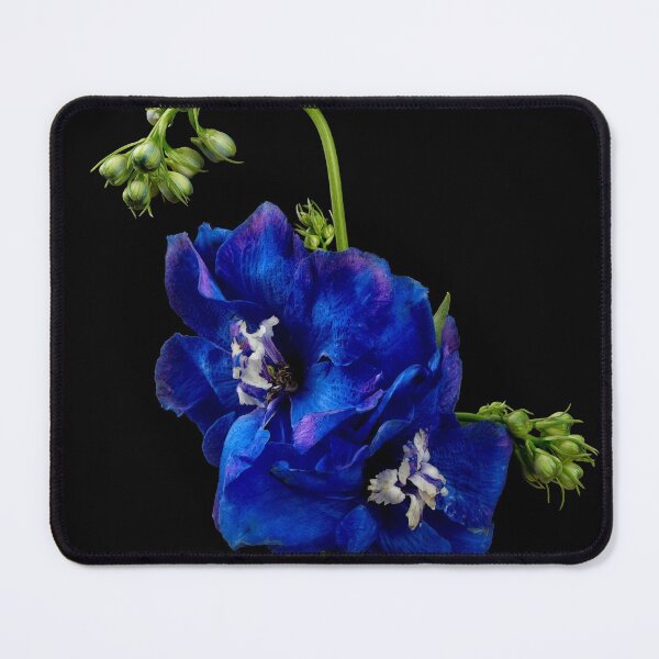 Item preview, Delphinium flower designed and sold by Dennis Sands Photography.