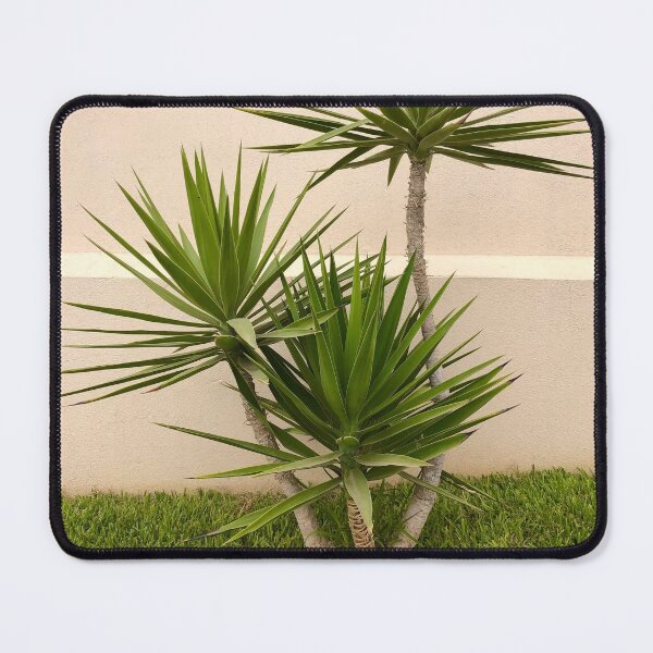 Item preview, Triple Yucca Tree designed and sold by SunnyDesignsCo.