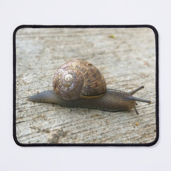 Item preview, Snail designed and sold by SunnyDesignsCo.