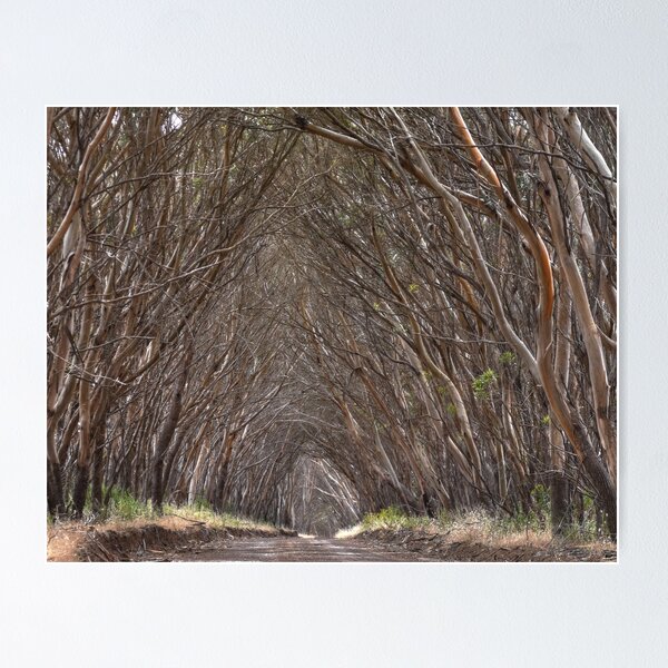 Item preview, Road to Willoughby designed and sold by Dean Wiles.