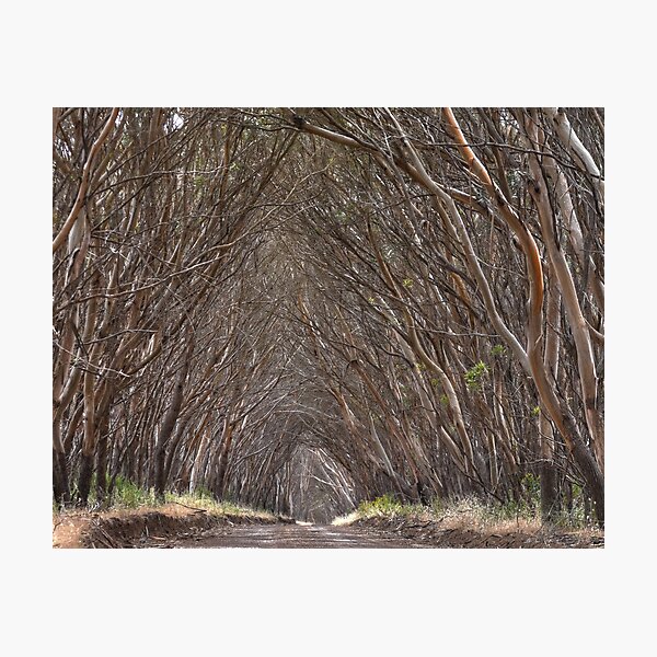 Item preview, Road to Willoughby designed and sold by Dean Wiles.