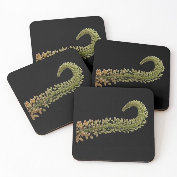 Item preview, Foxtail lily flower designed and sold by Dennis Sands Photography.
