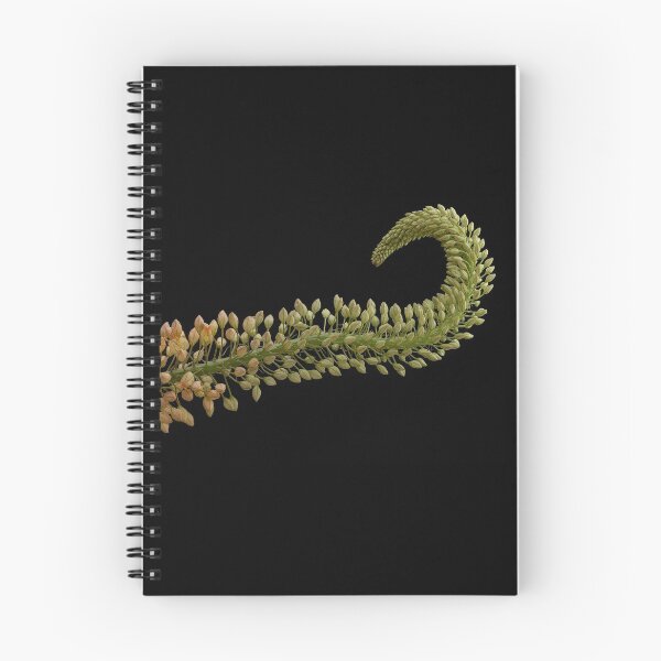 Item preview, Foxtail lily flower designed and sold by Dennis Sands Photography.