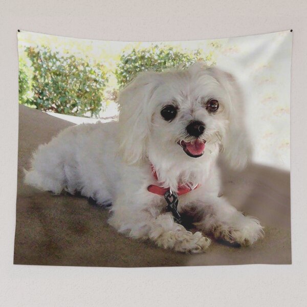 Item preview, Adorable Maltese Dog designed and sold by Carlo Varo.