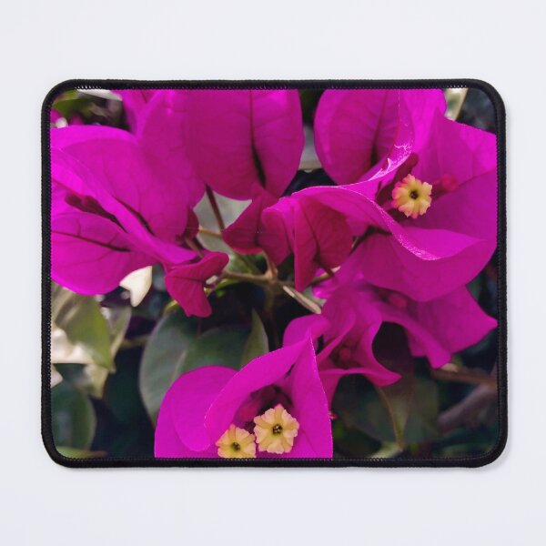 Item preview, Vibrant Purple Bougainvillea designed and sold by SunnyDesignsCo.