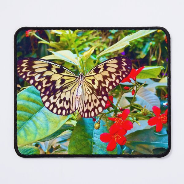 Item preview, Beautiful Butterfly designed and sold by SunnyDesignsCo.