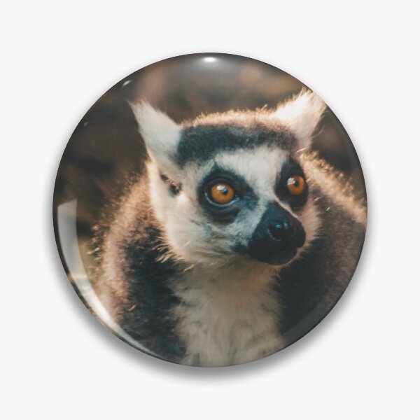 Item preview, Ring Tailed Lemur grabbing lunch designed and sold by Michael Deemer.