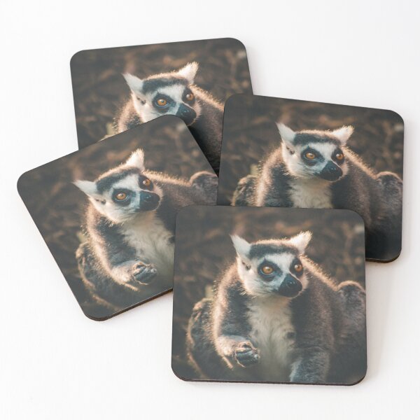 Item preview, Ring Tailed Lemur grabbing lunch designed and sold by Michael Deemer.