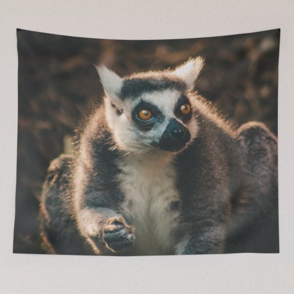 Item preview, Ring Tailed Lemur grabbing lunch designed and sold by Michael Deemer.