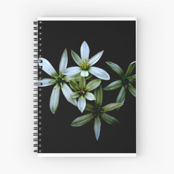 Item preview, flores  designed and sold by karlosss.