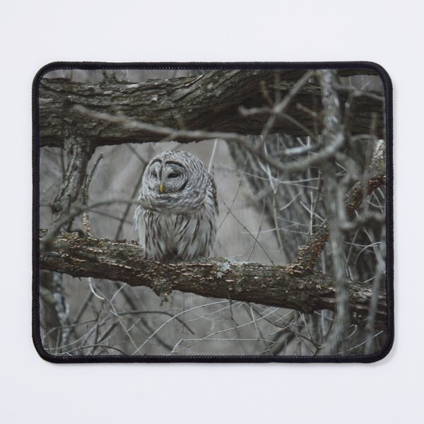 Item preview, Tree Owl designed and sold by Rachel Erickson.