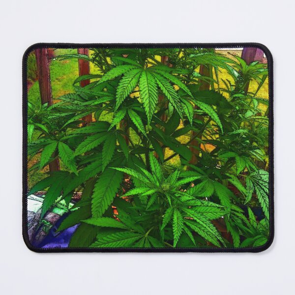 Item preview, Indica in a Mass Coronal Ejection designed and sold by foggynotion.