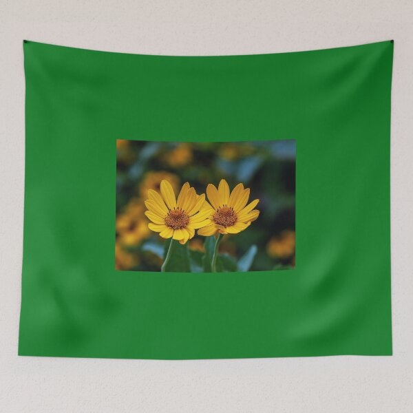 Item preview, "Ups-A-Daisy”  designed and sold by Lanis Rossi.