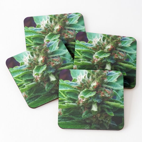 Item preview, Critical Flower designed and sold by foggynotion.