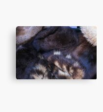 animal fur Canvas Print
