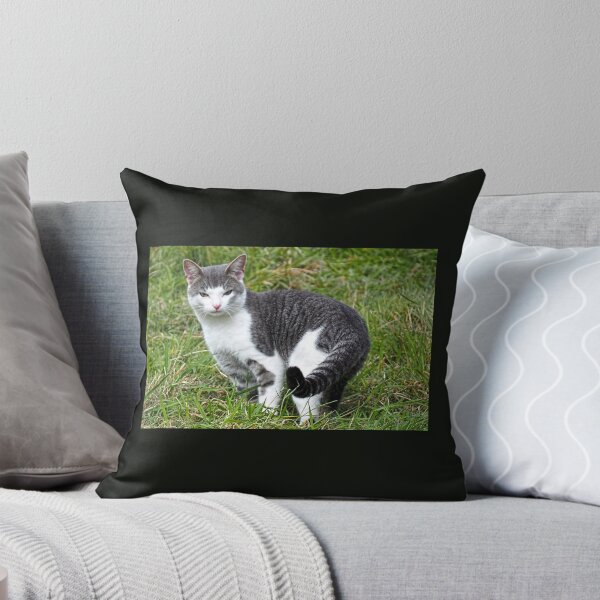 Item preview, Ringtailed Kitty..........East Devon UK designed and sold by lynn carter.