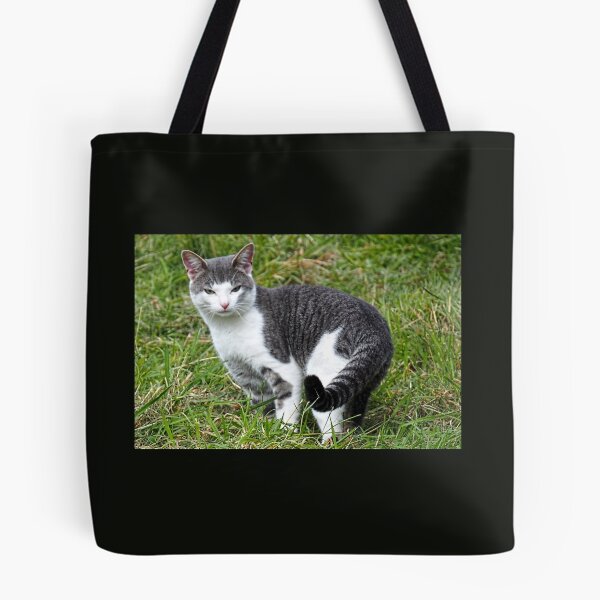Item preview, Ringtailed Kitty..........East Devon UK designed and sold by lynn carter.