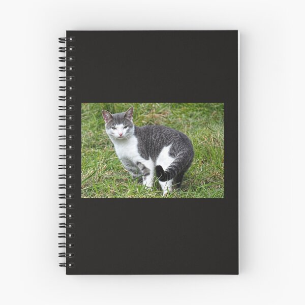 Item preview, Ringtailed Kitty..........East Devon UK designed and sold by lynn carter.
