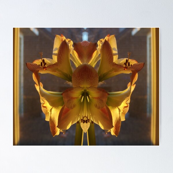 Item preview, Afternoon Light designed and sold by Barry Doherty.