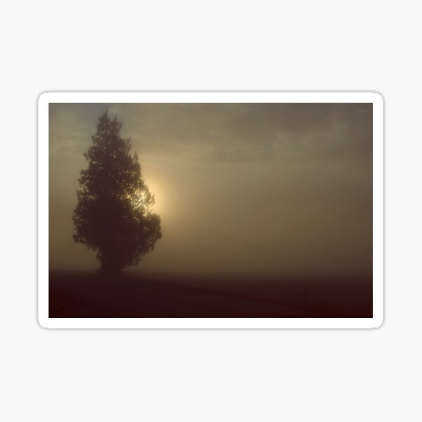 morning has broken.. Sticker