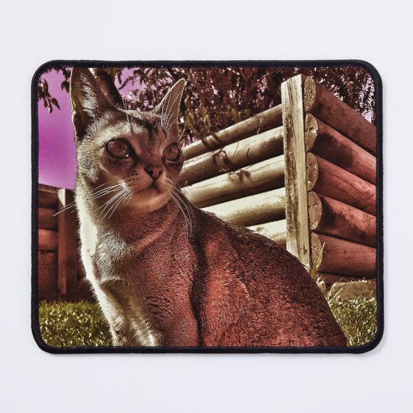 Item preview, Speedball under pink skies designed and sold by Cat-yawns.