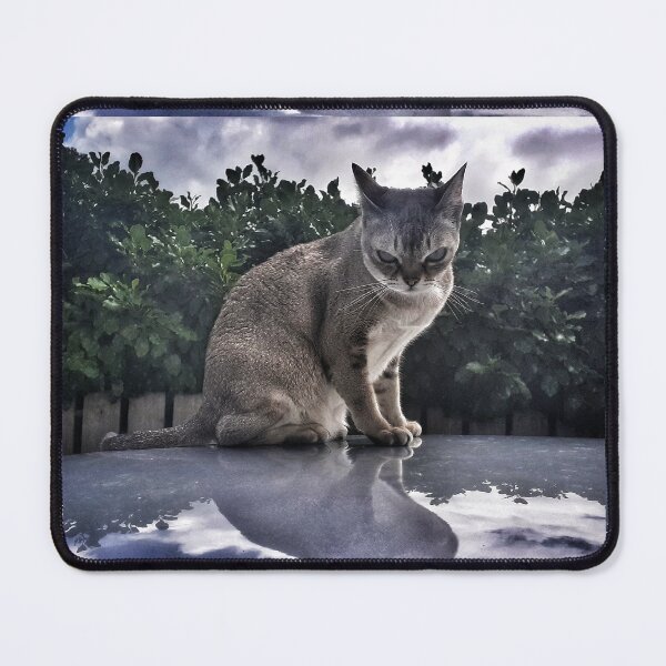 Item preview, Evil Speedball  designed and sold by Cat-yawns.