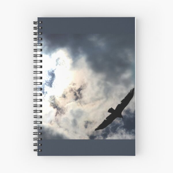 Item preview, Soaring designed and sold by Rachel Erickson.
